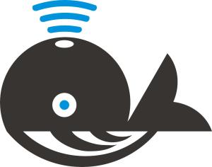 河南千魚網絡科技